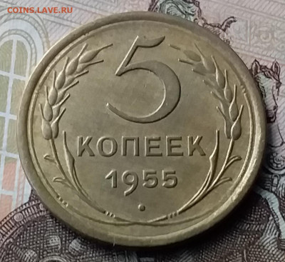 5 копеек 1955. До 23.01.20 в 22.00 - 20200119_131057