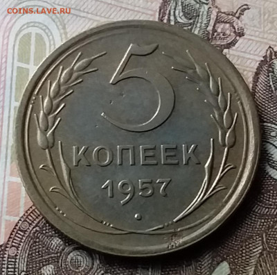 5 копеек 1957. До 23.01.20 в 22.00 - 20200119_131621