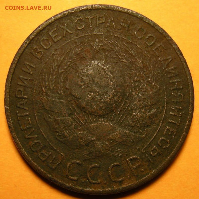 3 копейки 1924 ( 6 стеблей ) бюджетная -- до 24.01.20. - DSCN6569.JPG