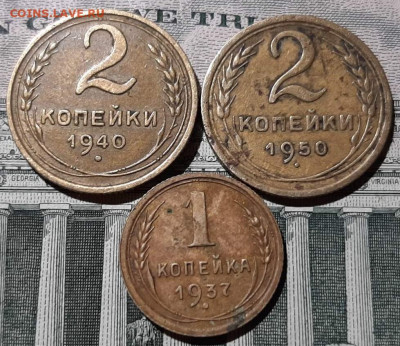 2к50-шт.1.2Б, 2к40-шт.Г, 1к37-шт.М. До 22.01.20 в 22.00 - 1
