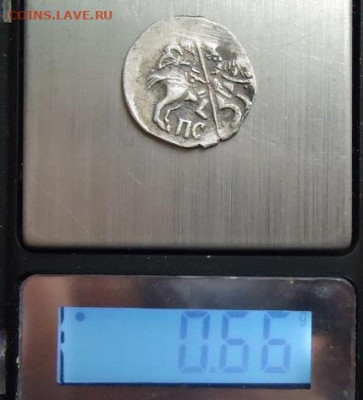4 чешуйки на определение - DSC04377.JPG
