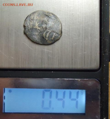 4 чешуйки на определение - DSC04379.JPG
