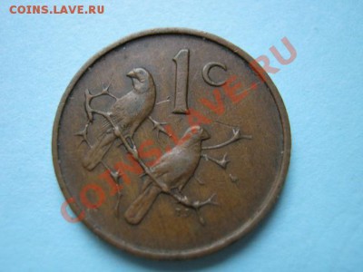 Южная Африка 1 цент 1967 "лохматый"  до 16.08 в 21.00 М - IMG_0003
