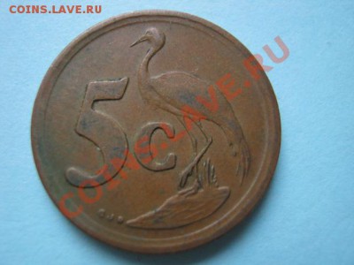 Южная Африка 5 центов 1990 Герб  до 16.08 в 21.00 М - IMG_0007