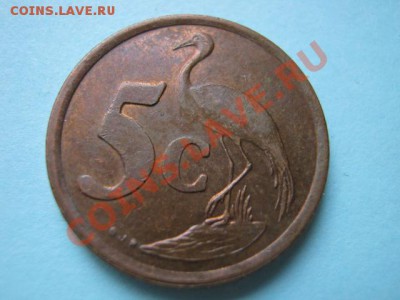 Южная Африка 5 центов 1997 Герб-dzonga  до 16.08 в 21.00 М - IMG_0009