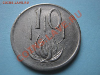 белая до 16.08 в 21.00 М - IMG_0013