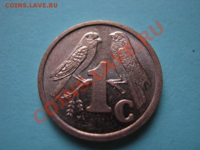 Южная Африка 1 цент 1998 Герб  до 16.08 в 21.00 М - IMG_0025