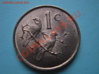 Южная Африка 1 цент 1967 "лохматый" suid до 16.08 в 21.00 М - IMG_0031