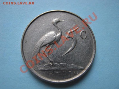 Южная Африка 5 центов 1965 "лохматый" suid до 16.08 в 21.00М - IMG_0015