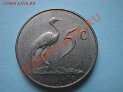 Южная Африка 5 центов 1965 "лохматый south до 16.08 в 21.00М - IMG_0017