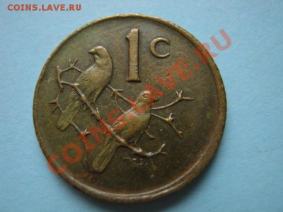 Южная Африка 1 цент 1982 пр. Форстер  до 16.08 в 21.00 М - IMG_0037
