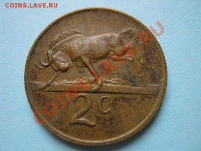 Южная Африка 2 цента 1979 пр. Дидерикс  до 16.08 в 21.00 М - IMG_0041