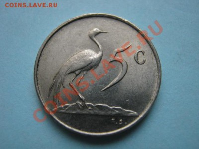 Южная Африка 5 центов 1976 пр. Фуше  до 16.08 в 21.00 М - IMG_0075