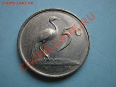 Южная Африка 5 центов 1982 пр. Форстер  до 16.08 в 21.00 М - IMG_0077