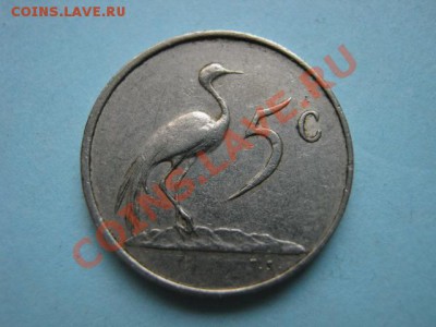 Южная Африка 5 центов 1979 пр. Дидерикс  до 16.08 в 21.00 М - IMG_0079