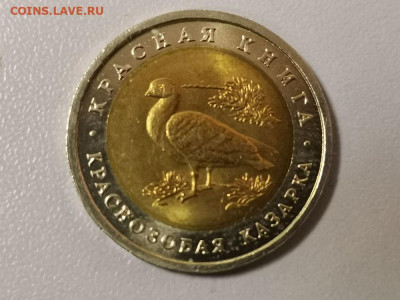 Красная книга: 10р 1992г. Казарка(мешок), до 28.01 - СЧ Казарка мешк-1