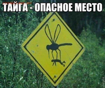 юмор - 8wj10-jlVKo