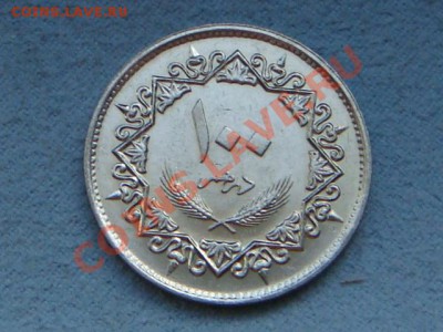 -v- Ливия 100 дирхам 1979 до 19.08(21.00) - DSC03703.JPG