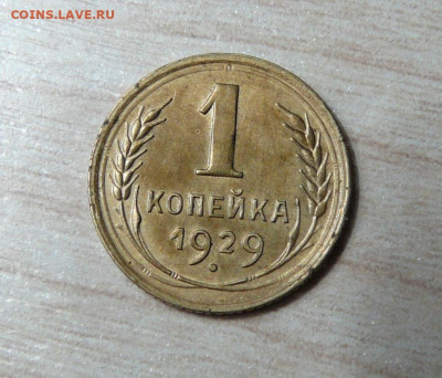 1 копейка 1929 год. до 29.01.2020. в 22-00 - P1170359.JPG