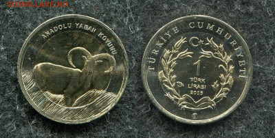 1 лира 2015 Турция Муфлон до 28.01.20 в 22.00 мск - img678