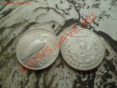 Доллары США 1921, 1922 годы, серебро, до 22-00 19.08.2011 - P1010567.JPG