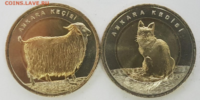 Турция Кошка и Коза с 200р до 27.01.2020 в 22.00 - турция