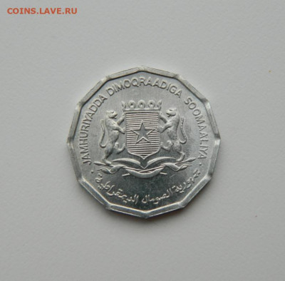Сомали 10 центов 1976 г. (Фауна)без обращения до 30.01.20 - DSCN0005.JPG