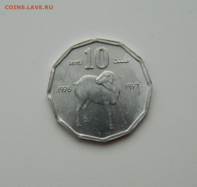 Сомали 10 центов 1976 г. (Фауна)без обращения до 30.01.20 - DSCN0006.JPG