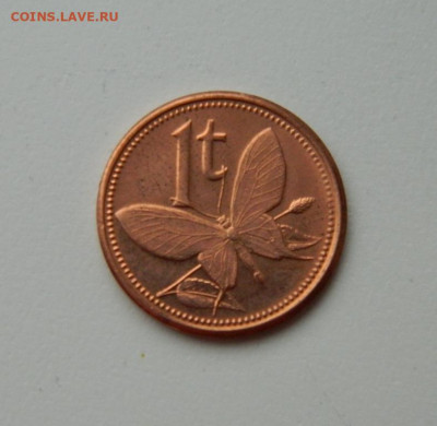Папуа-Новая Гвинея 1 тойя 2004 г. (Фауна). до 30.01.20 - DSCN0091.JPG