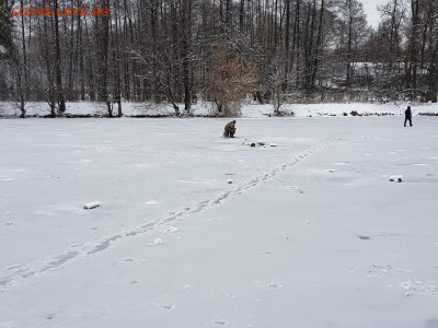 ФОТО - просто фото. Те что получились удачными. - 20200112_140705