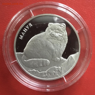 2 рубля 2016 года Красная книга-Манул. До 31.01.20 в 22-00 - 9C947D6C-1798-405D-AD5E-2F7F3874EEBD