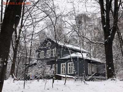 ФОТО - просто фото. Те что получились удачными. - IMG-20200112-WA0000