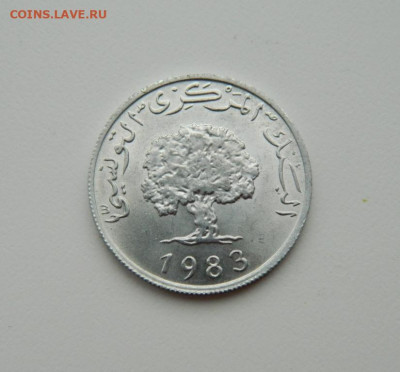 Тунис 5 миллим 1983 г. до 30.01.20 - DSCN9998.JPG
