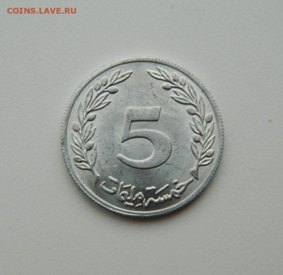 Тунис 5 миллим 1983 г. до 30.01.20 - DSCN9999.JPG