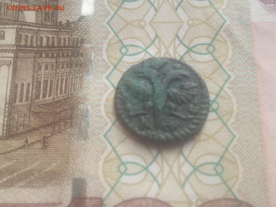 полушка 1720 буквами - 20200126_111314