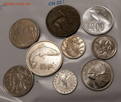 Иностранные монеты 9 штук. Оценка? - 2020-01-26 21.21.31