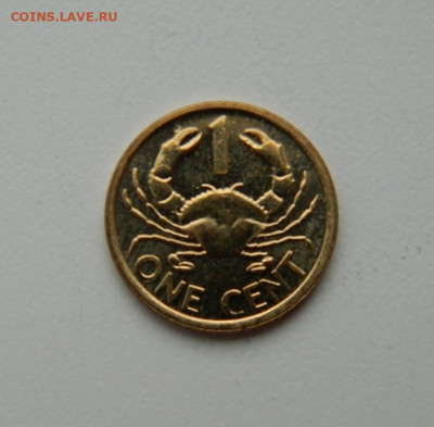 Сейшелы 1 цент 2012 года (Фауна)без обращения до 30.01.20 - DSCN0050.JPG