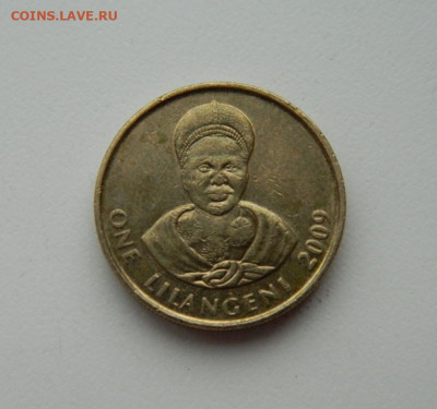 Свазиленд 1 лилангени 2009 г. до 30.01.20 - DSCN0045.JPG