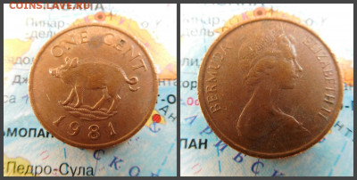 Бермуды 1 цент, 1981 - 9