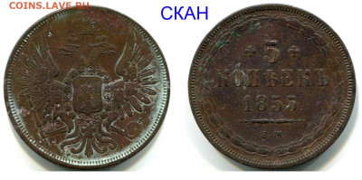 5 копеек 1855 ЕМ редкая дата до 31 янв 22-00 - 5 копеек 1855 ЕМ