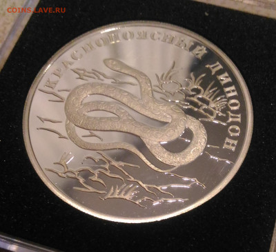 1р 2007 Краснопоясный Динодон Кр.Книга до 31.01 в 22:00 МСК - 3