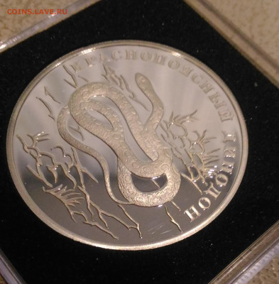 1р 2007 Краснопоясный Динодон Кр.Книга до 31.01 в 22:00 МСК - 2
