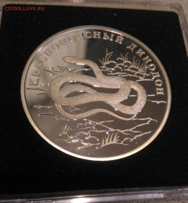 1р 2007 Краснопоясный Динодон Кр.Книга до 31.01 в 22:00 МСК - 1