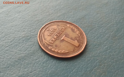 1коп и 3коп 1924г домашние до 31.01в 22.10 мск - IMG_20200128_211705