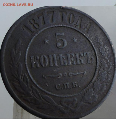 5 коп 1877 г спб - DSC05668.JPG