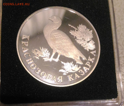 1р 1994 Краснозобая Казарка Крас. Книг до 31.01. в 22:00 МСК - 1