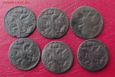 6 полушек 1731,1735,1736гг.  до 3.02.20г. до 22 -00 - DSCF8148.JPG