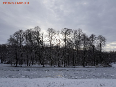 ФОТО - просто фото. Те что получились удачными. - 20200112_133046
