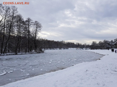 ФОТО - просто фото. Те что получились удачными. - 20200112_133058