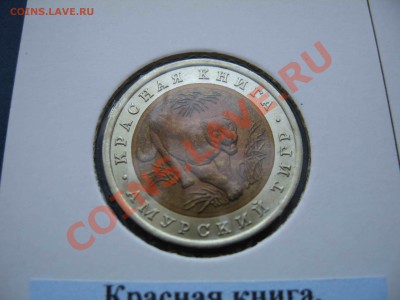 Красная книга, комплект 1992 года - IMG_9589
